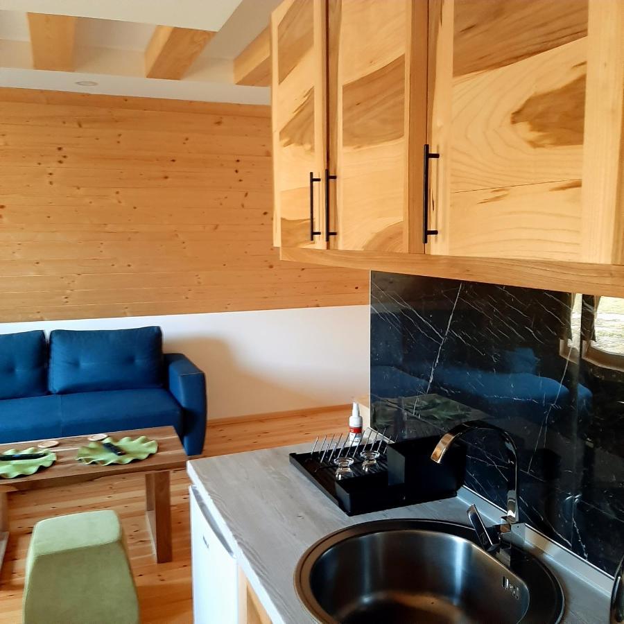 Holiday Home Ella Mokra Gora - Apartman Ella 外观 照片